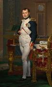 Jacques-Louis David Napoleon in his Study (mk08) oil painting on canvas